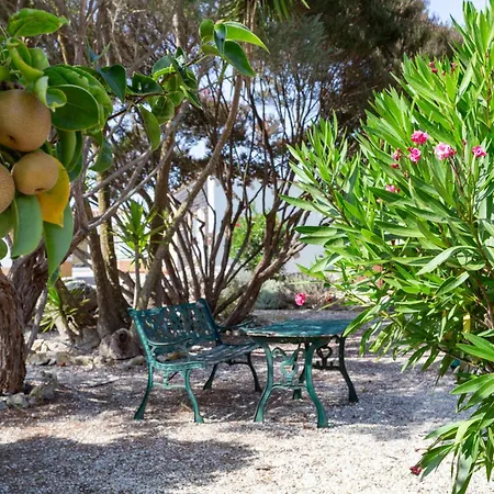 Quinta Sao Martinho Farma